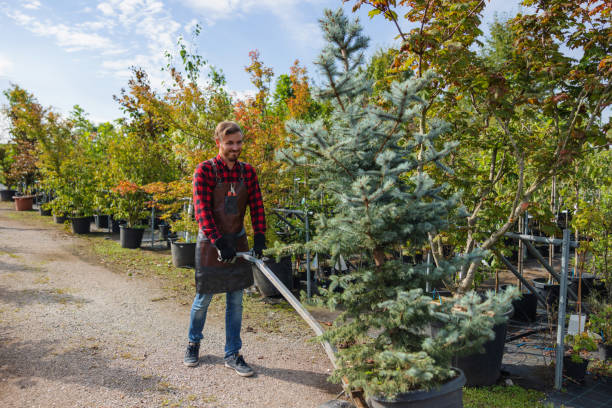  Hollymead, VA Tree Services Pros